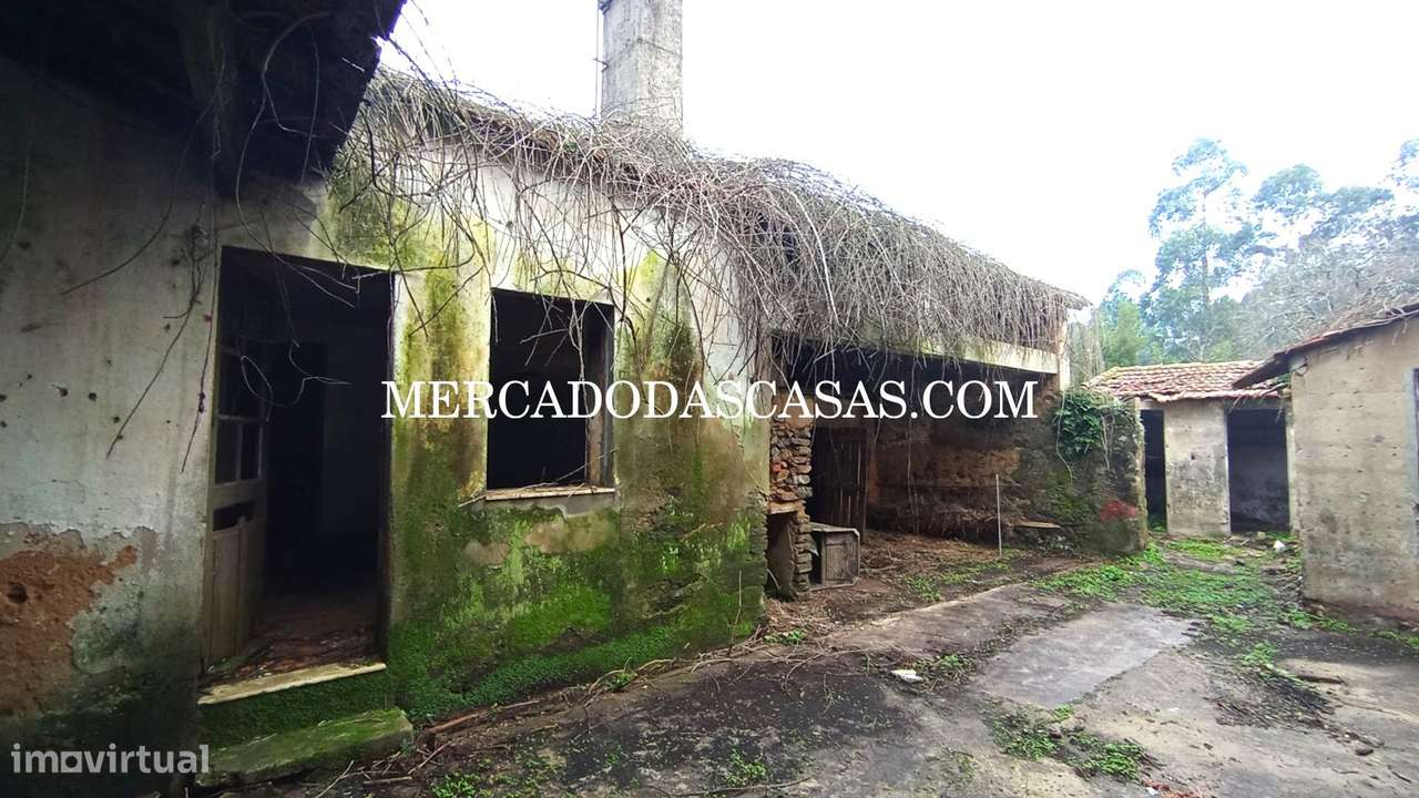 Moradia Isolada para Restauração em Anta - Grande imagem: 5/9