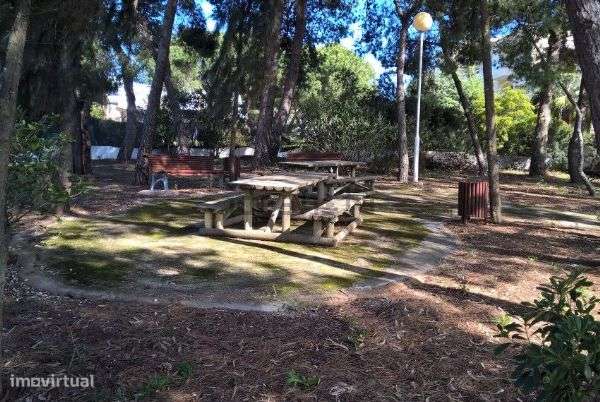 T1+1 em Olhos de água. Bosque de S. José. - Grande imagem: 5/12