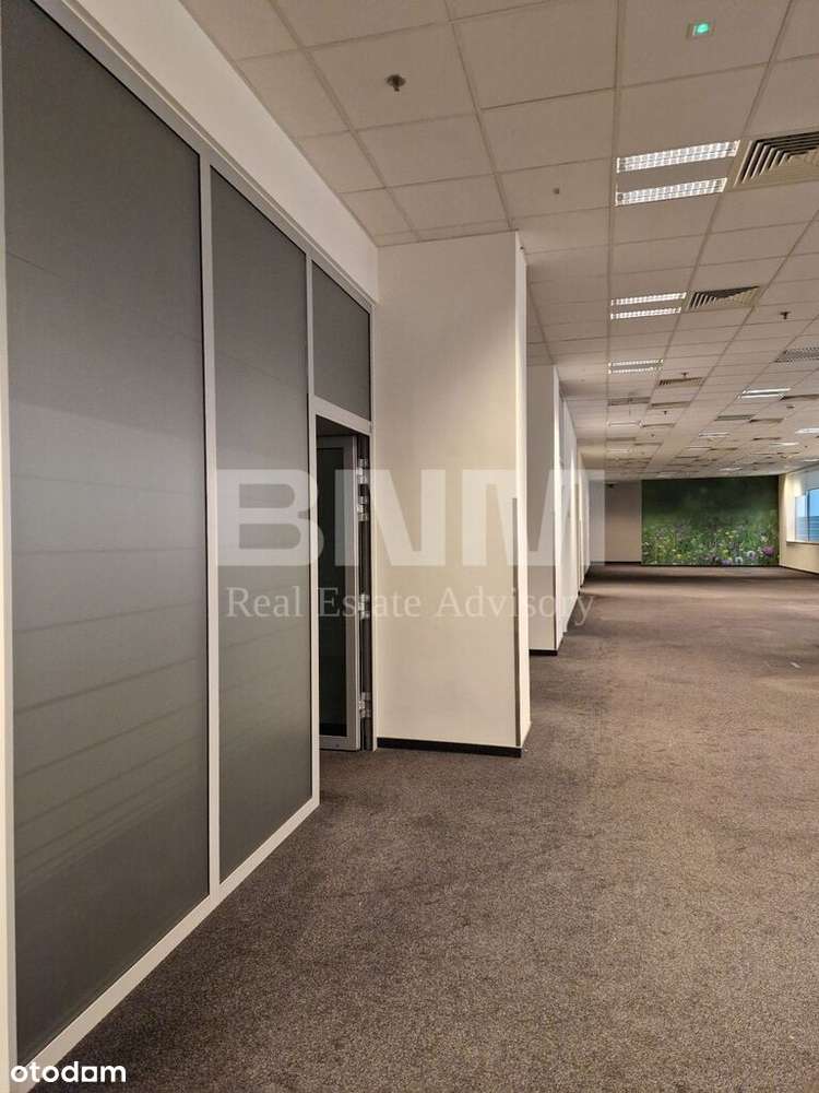 Powierzchnia biurowo-usługowa, świetna cena - Pełny obrazek: 5/5