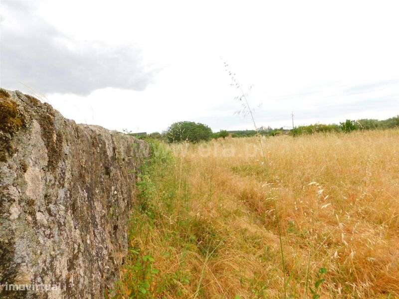 Quinta / Seia, Tourais e Lajes - Grande imagem: 4/20