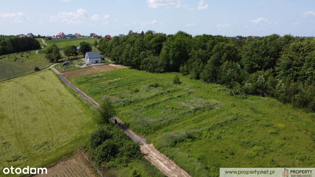 Działki z pozwoleniem na budowę, Niedźwiada. - Pełny obrazek: 5/7