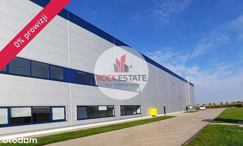 Magazyn w Radonicach 3 tyś. m2 - 0% prowizji - Pełny obrazek: 4/10