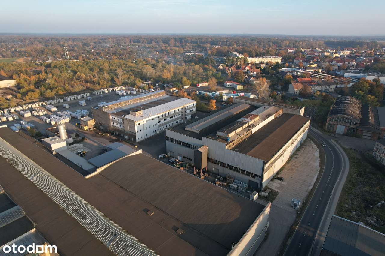 Hala produkcyjna, magazynowa Nowa Sól, Dozamet - Pełny obrazek: 5/12