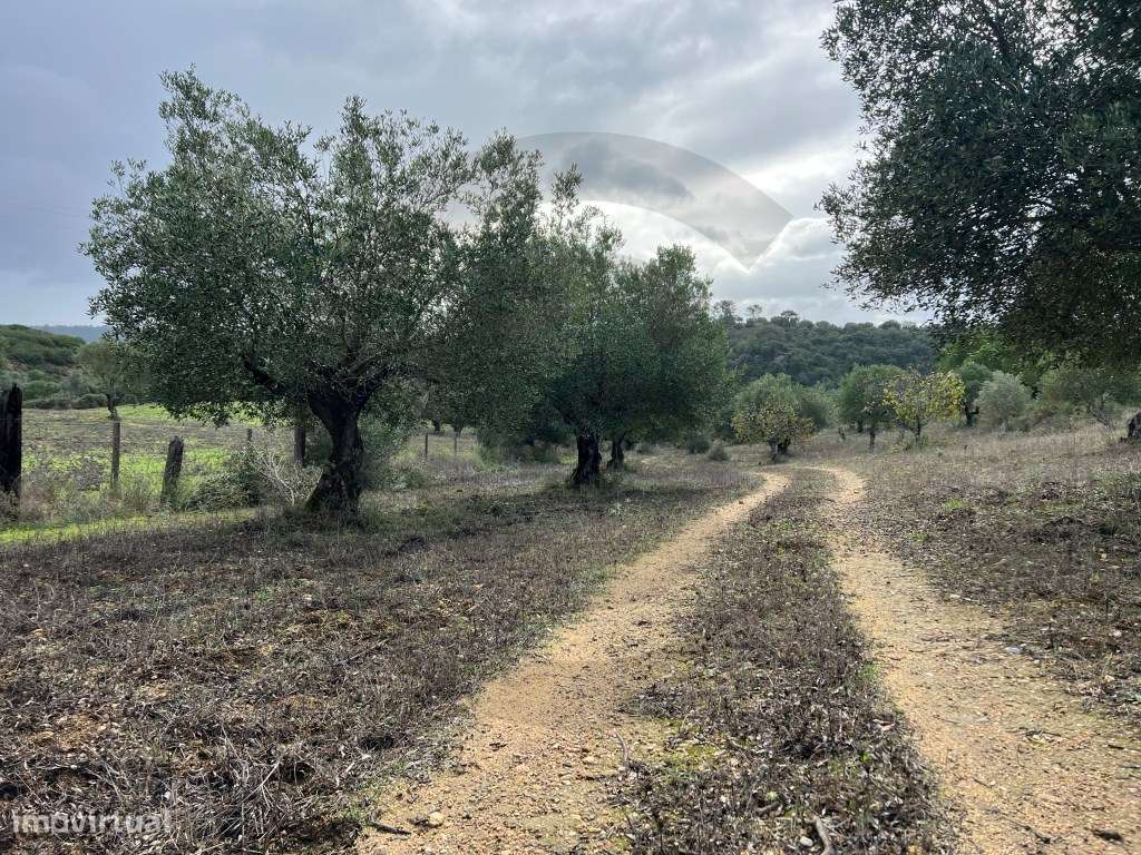 Terreno - Grande imagem: 5/6