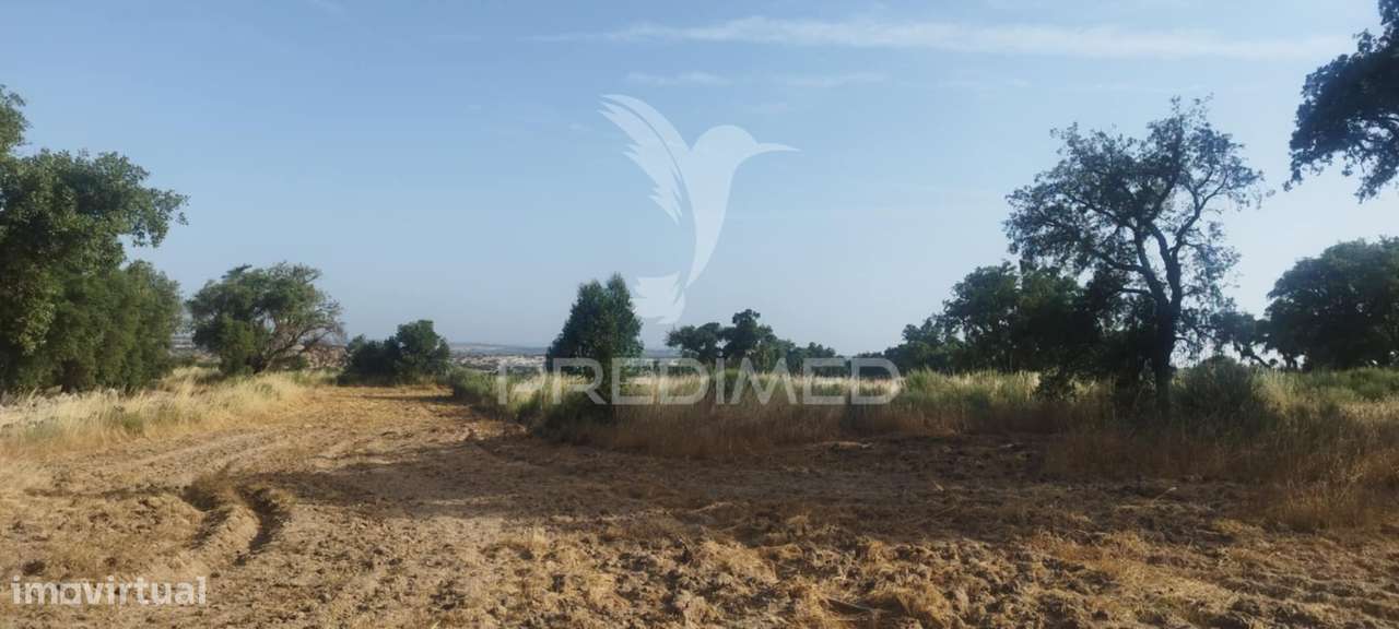 Terreno agricola /construção - Grande imagem: 5/5