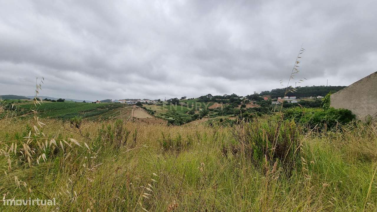 Terreno Agrícola em Freiria, Torres Vedras - 39.900€ - Grande imagem: 2/4