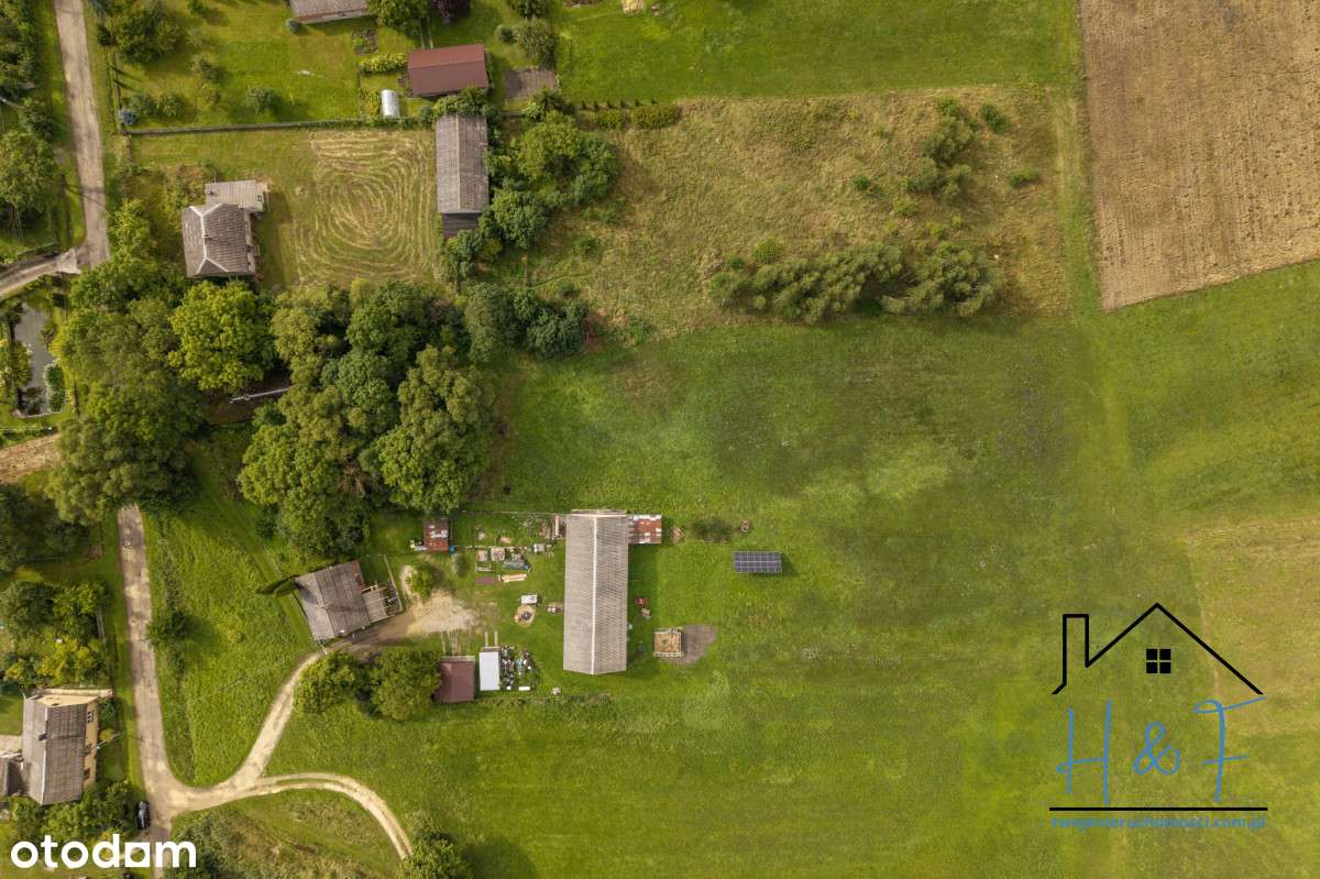 Duża działka w spokojnej lokalizacji - Pełny obrazek: 5/12