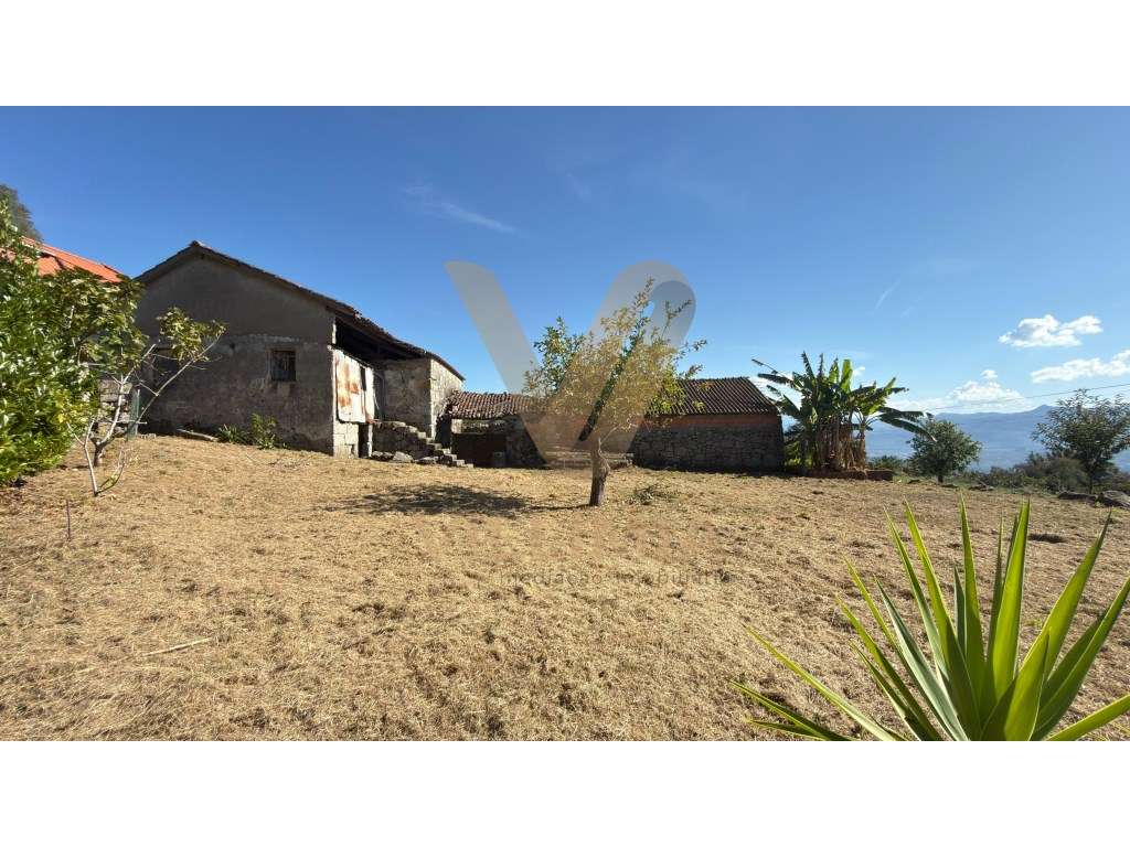 Propriedade com Duas Casas Antigas em Pedra para Restauro - Padreir...-17