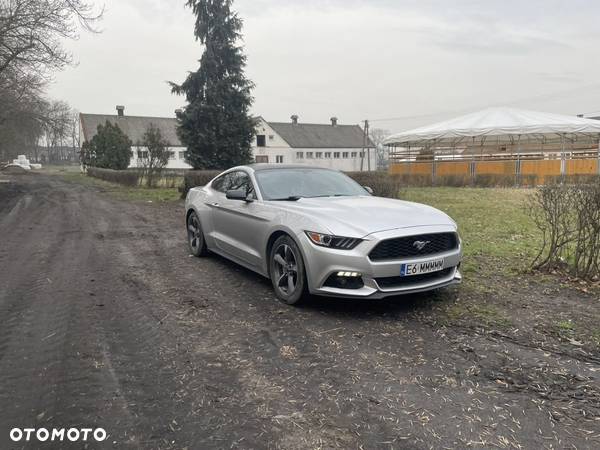 Ford Mustang 3.7 V6 - 12