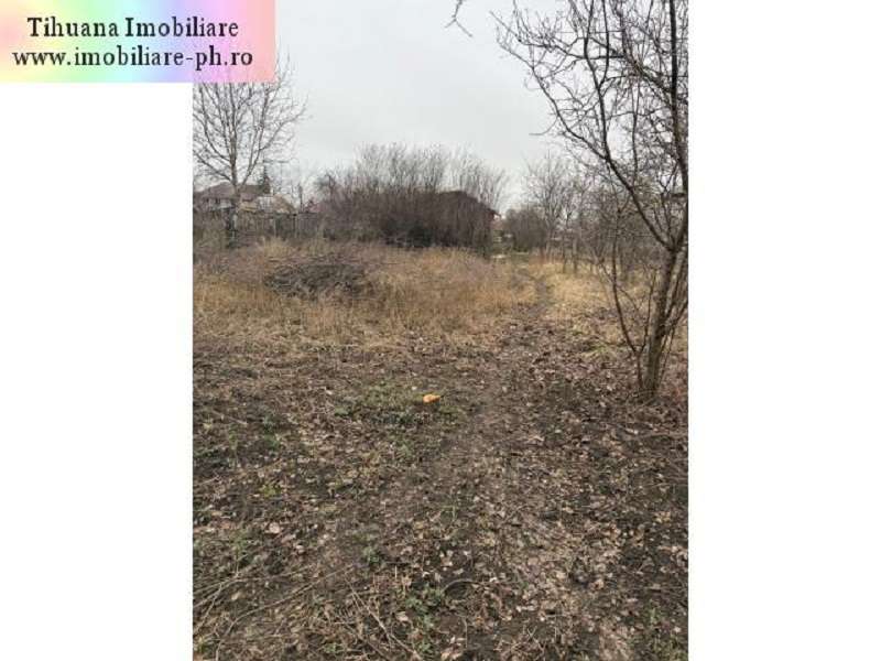 Casa de vanzare : Inotesti-(Comuna Colceag) - Imagine principală: 5/5