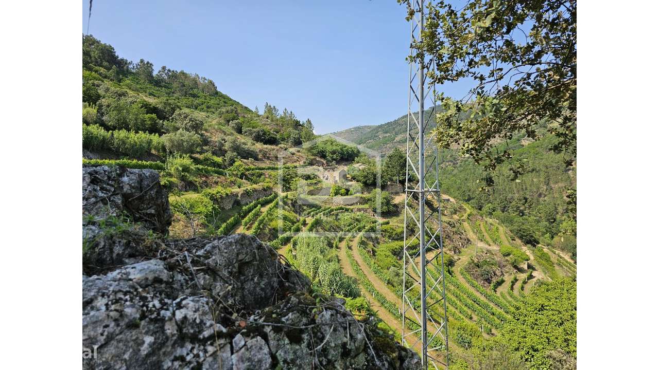 Quinta  Venda em Várzea de Abrunhais,Lamego - Grande imagem: 3/21