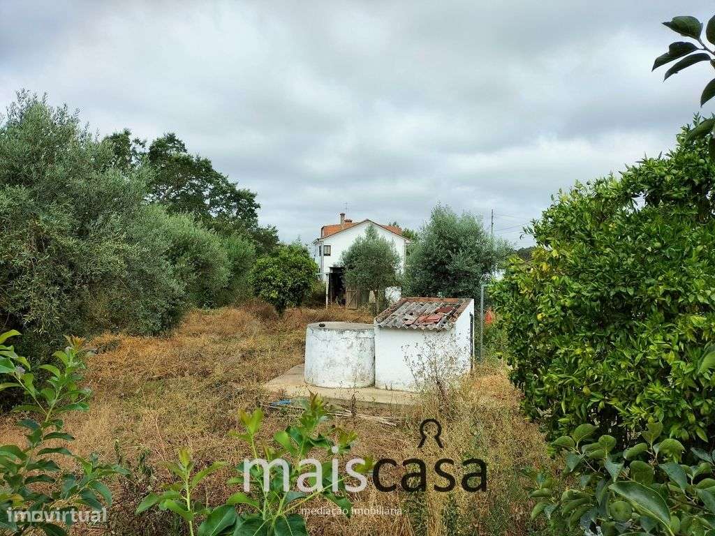 Moradia T3 com Tanque, Terreno e Linha de Água-19