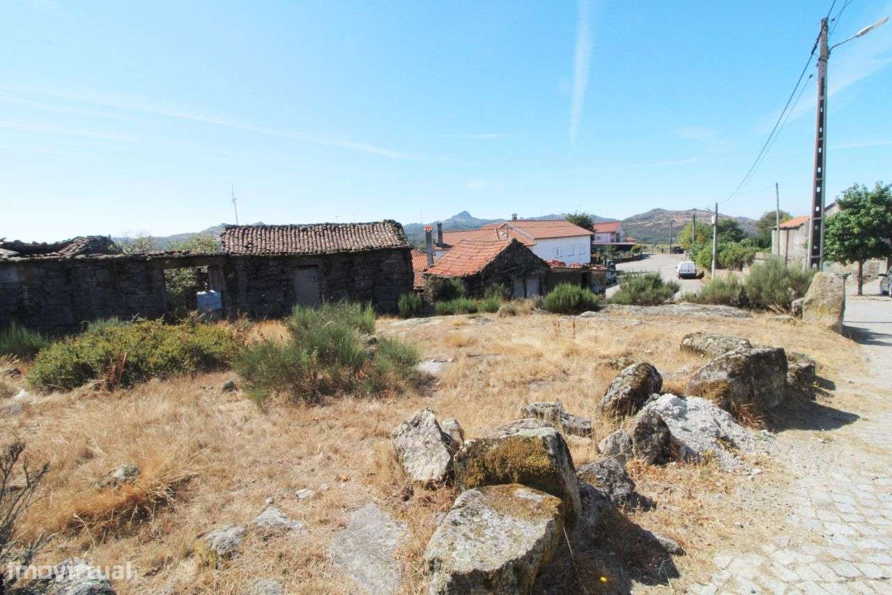 Moradia p/ reconstrução – Oliveira de Frades - Grande imagem: 5/26