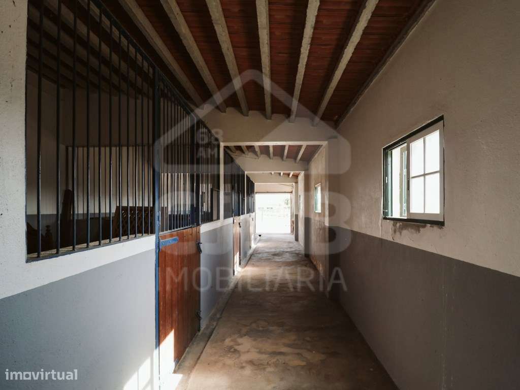 Quinta T5 na Branca-35