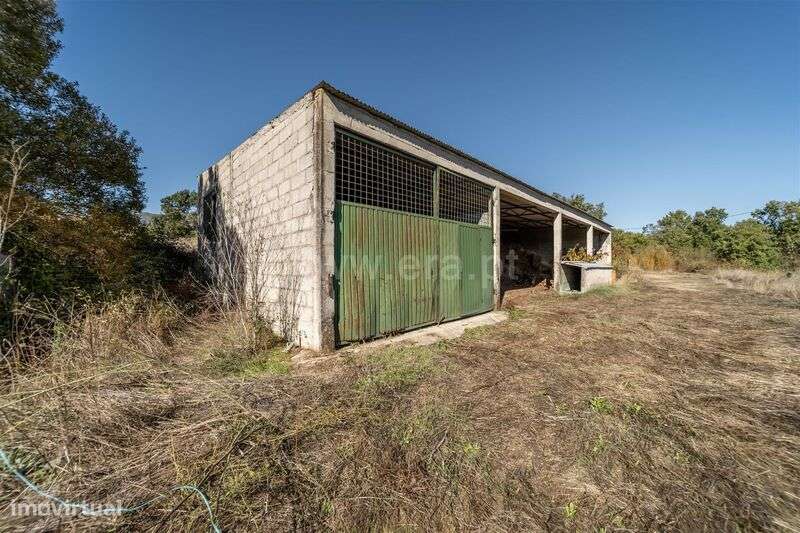 Herdade T6 / Covilhã, Boidobra-13