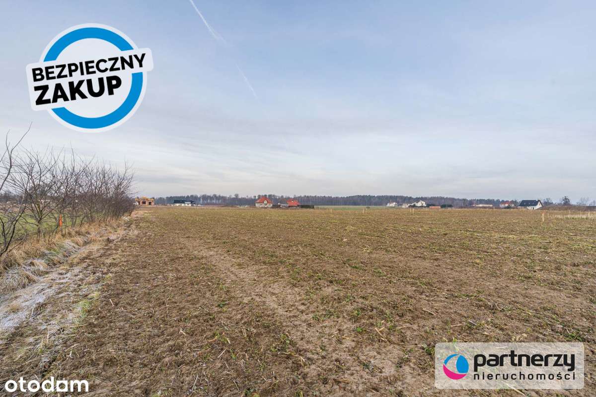 Budowalna | 949m2 | Południowy ogród - Pełny obrazek: 5/16