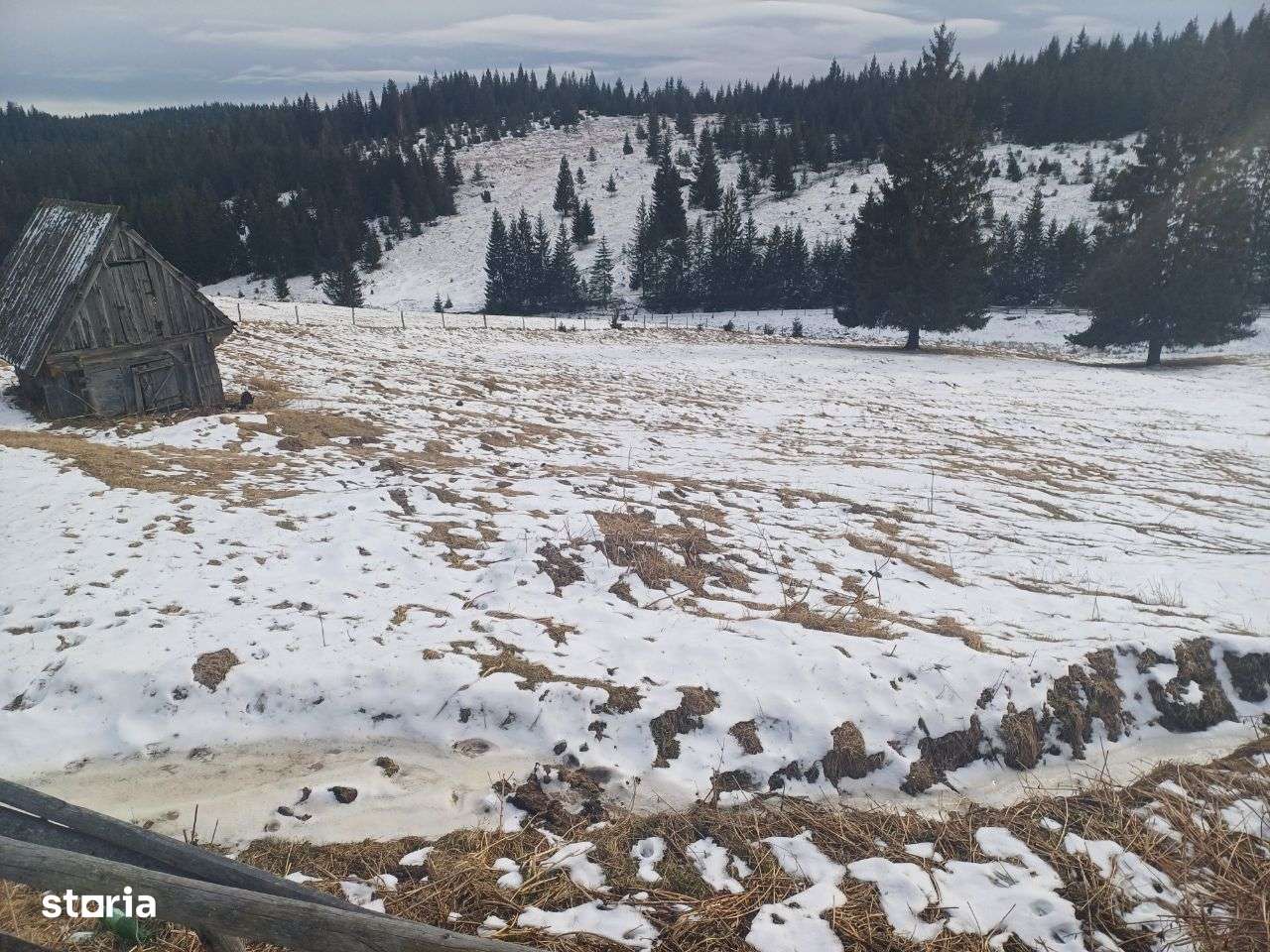 Vand teren intravilan in Muntele Rece - Imagine principală: 5/7