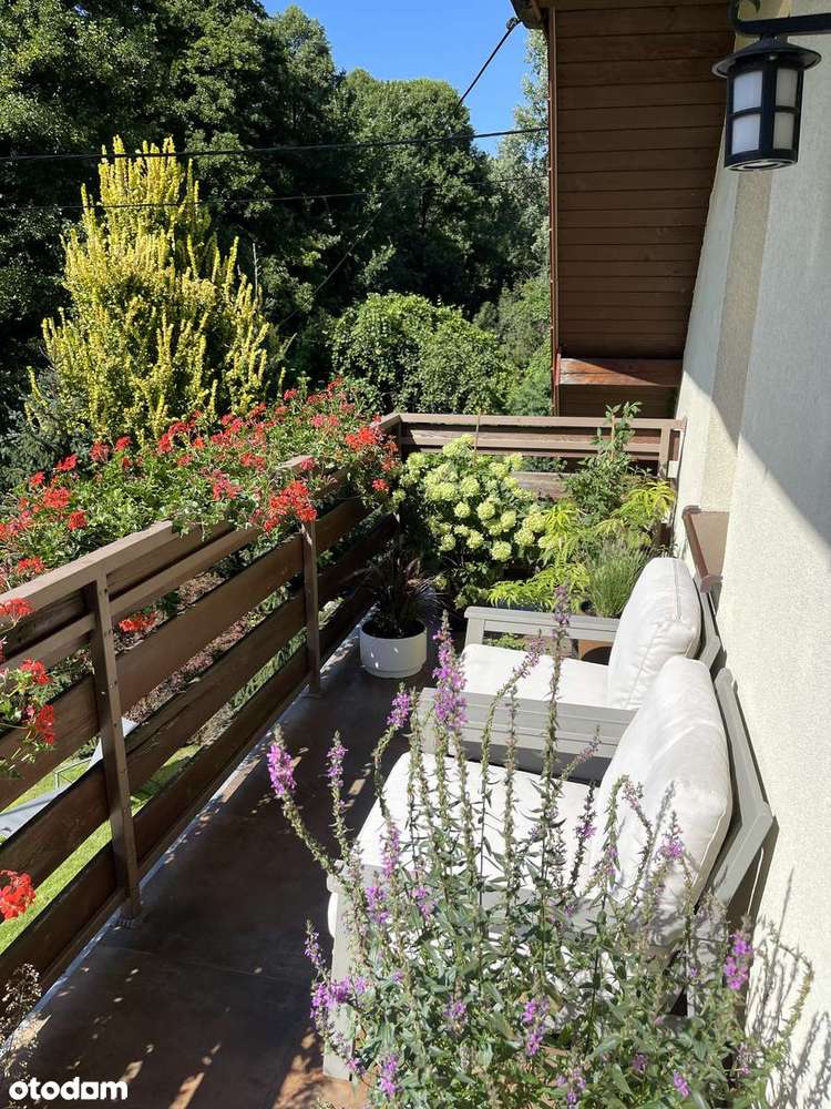 Fantastyczny Dom przy parku Jerzmanowskich - Pełny obrazek: 5/6