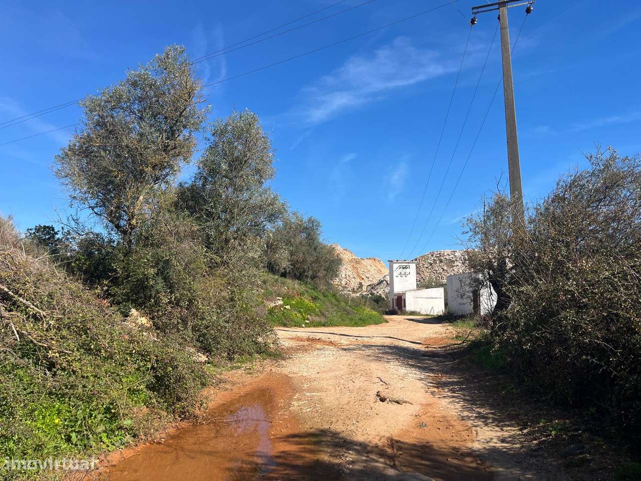 PEDREIRA | OLIVAL | VENDA | BORBA-15