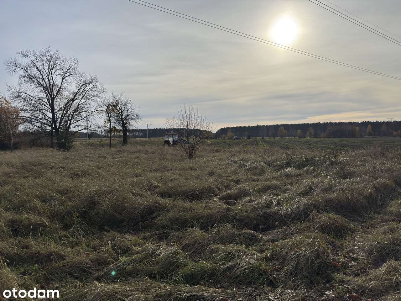 Garki, gm. Odolanów-4