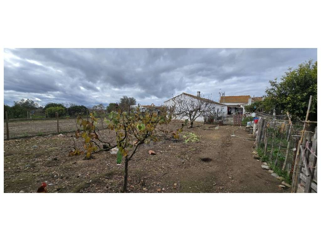 LOTE URBANO c/ 3 Moradias-29