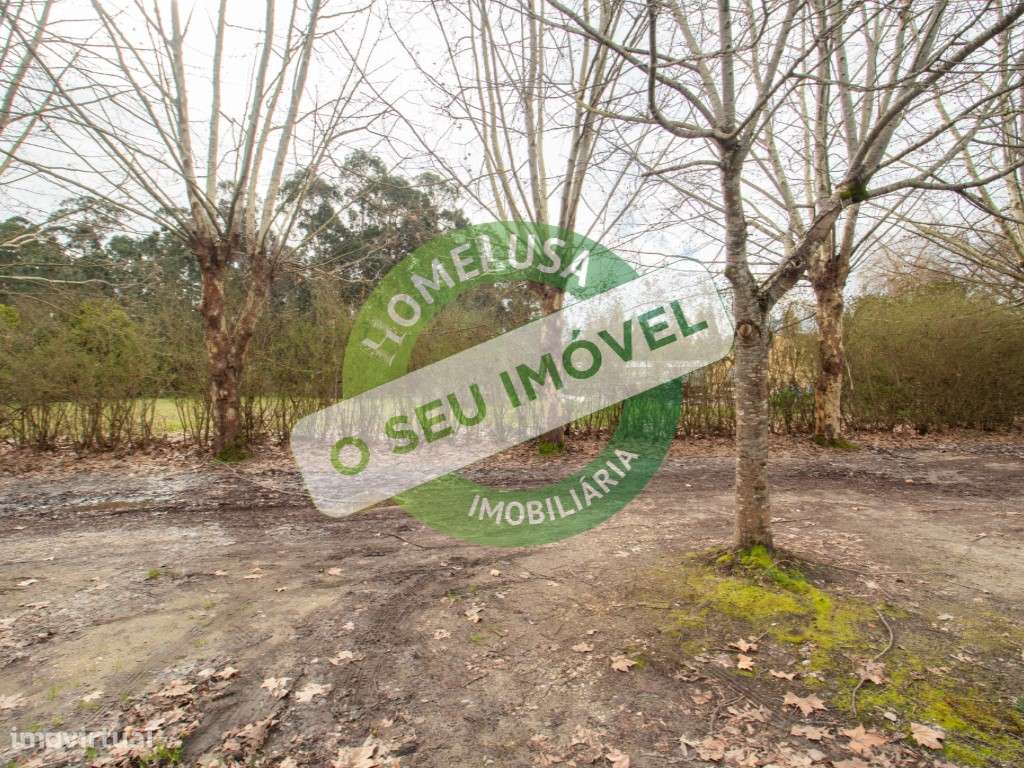 Lote Terreno - Grande imagem: 4/17