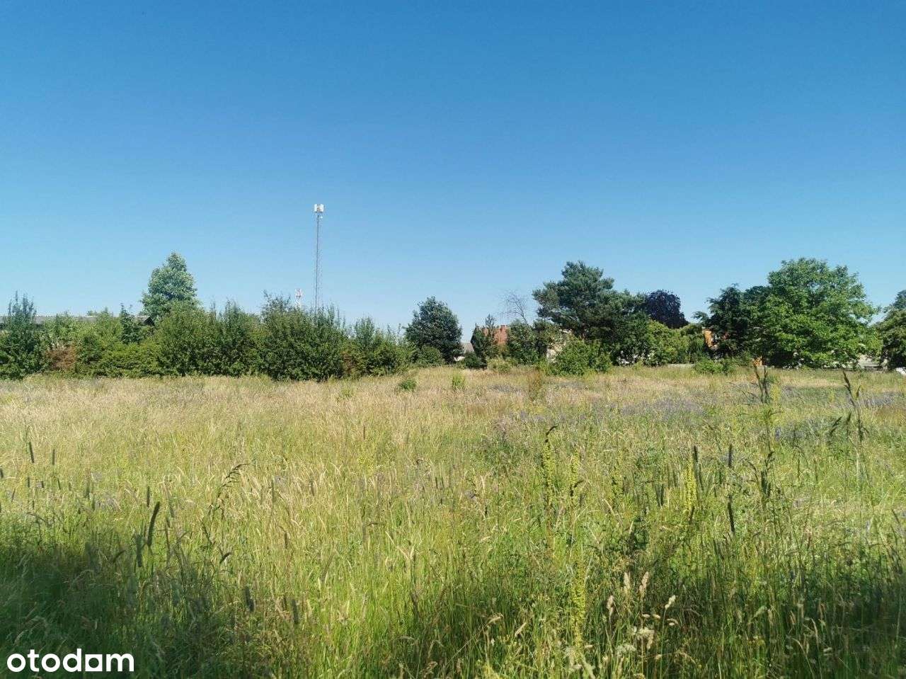 Działki budowlane w centrum (5 szt.)- Lipka-15