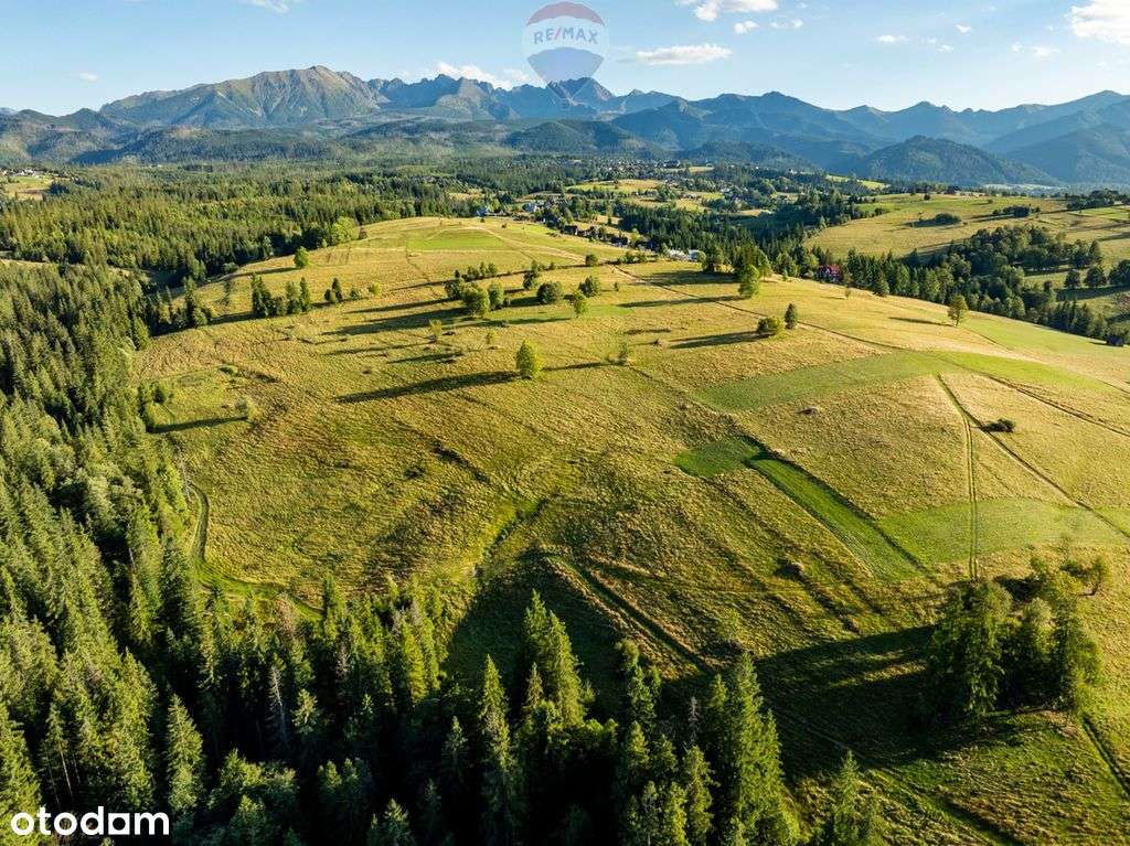 Działka rolno-leśna Zakopane