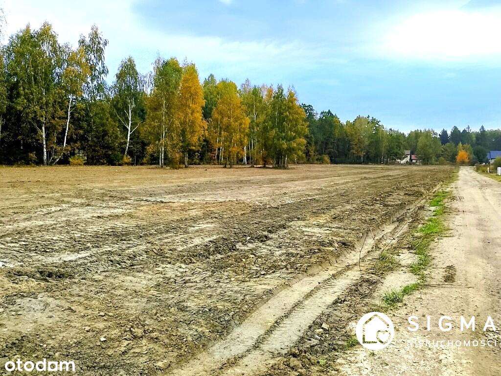 Działka budowlana gm. Radziejowice I   MPZP  I  media - Pełny obrazek: 4/4