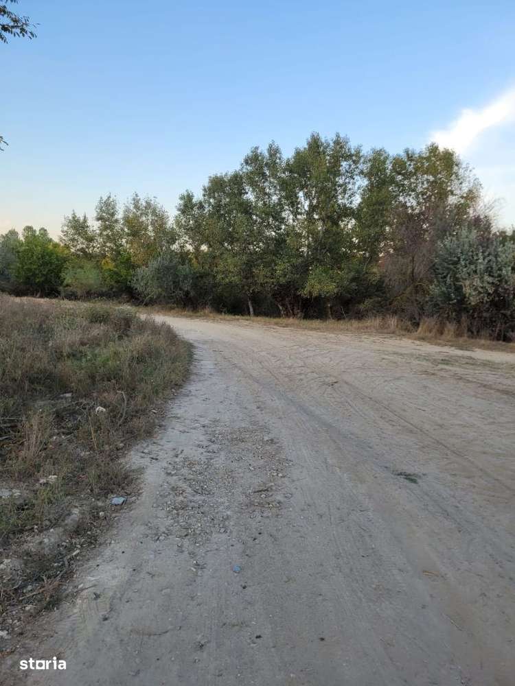 Cenavoda teren 14.000m pășune - Imagine principală: 4/20