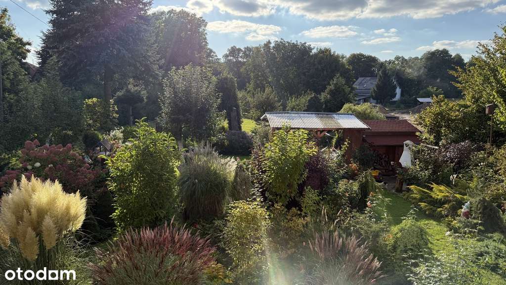 Dwa mieszkania w jednym domu-5