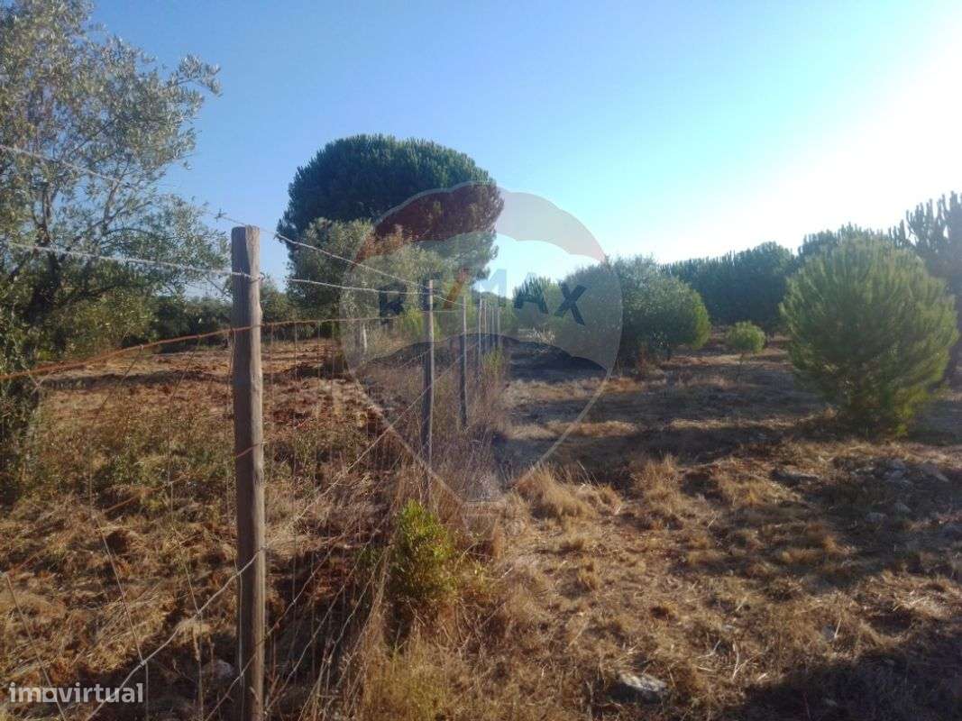 Terreno  para venda - Grande imagem: 3/9