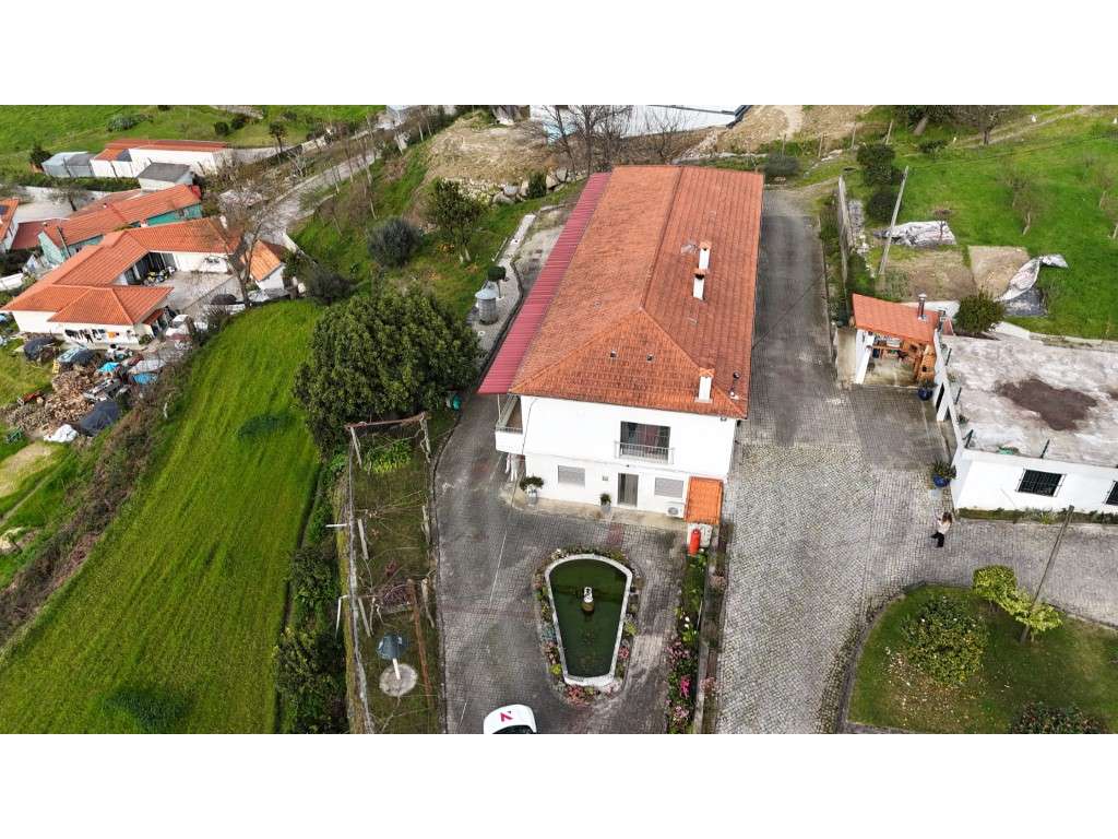 Quinta com 20.000 m² para Venda - Penacova-21
