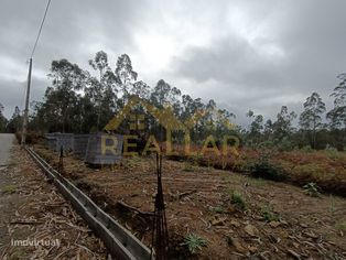 Terreno de construção para realizar seu projeto em Mosteiró - Vila ... - Grande imagem: 4/5