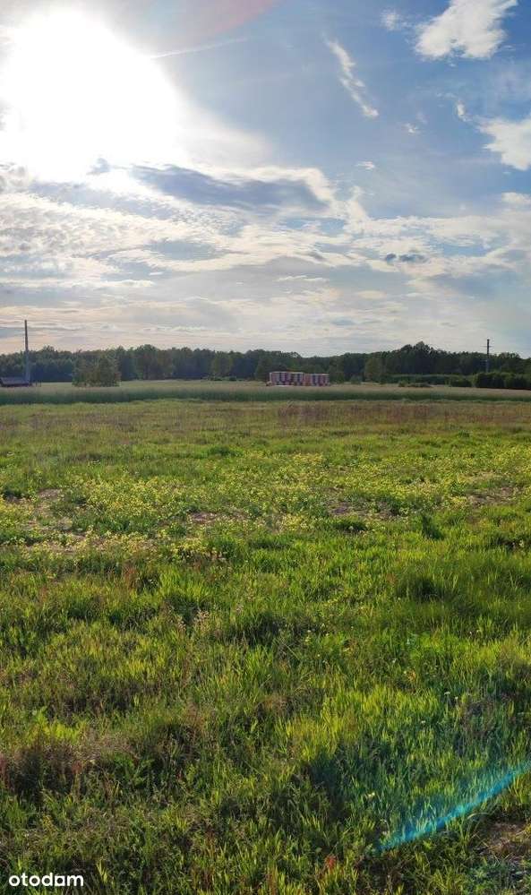 Atrakcyjne działki w Grabiku od 11 do 14 arów. - Pełny obrazek: 4/7