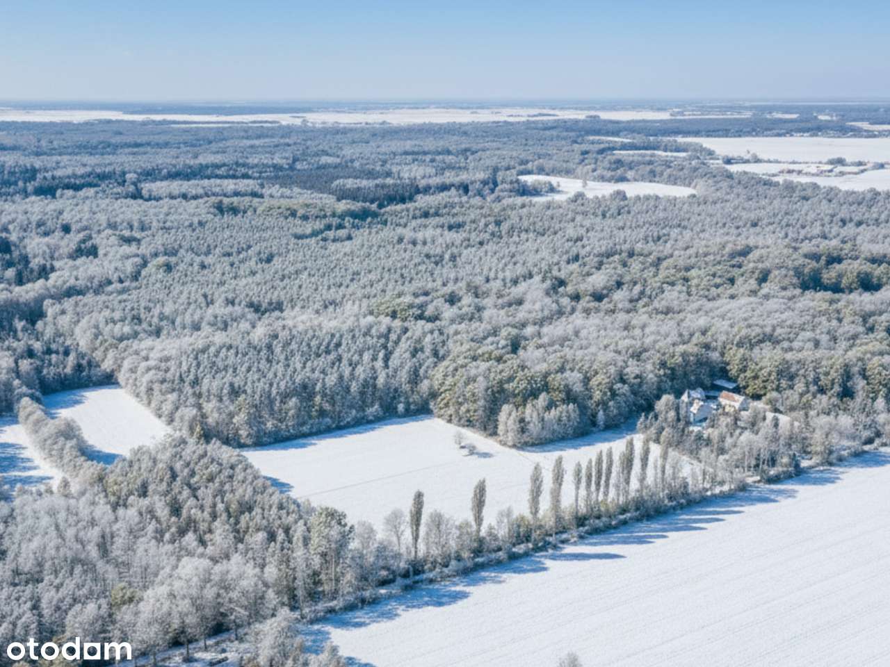 Działka budowlana |  WZ |  ściana lasu | 2500m2 | 25 min od Poznania - Pełny obrazek: 4/9