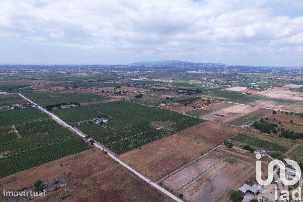 Terreno em Palmela - Grande imagem: 2/26
