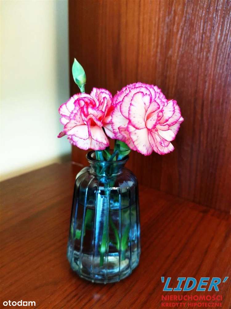 4 pokojowe mieszkanie w świetnym stylu, osiedle E-7