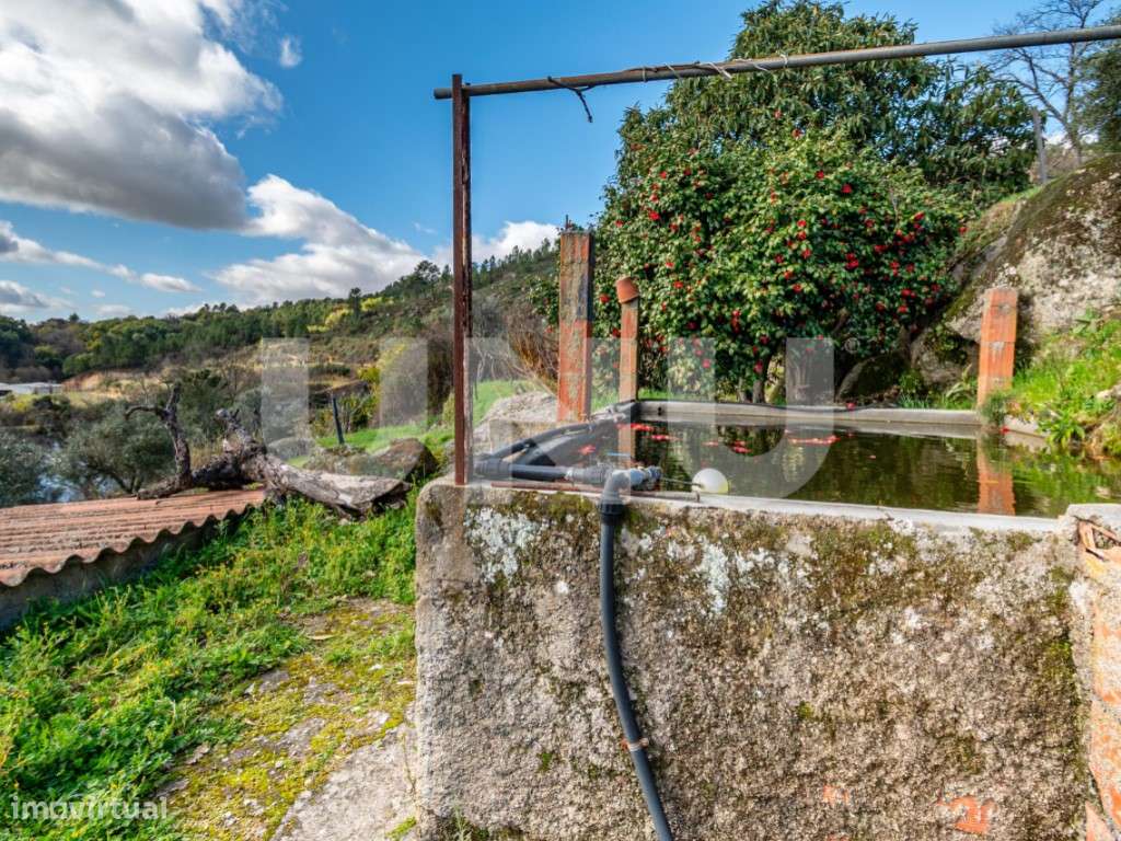 Quinta T2 com Habitação, Infraestruturas Agrícolas e Terreno com Vi...-13