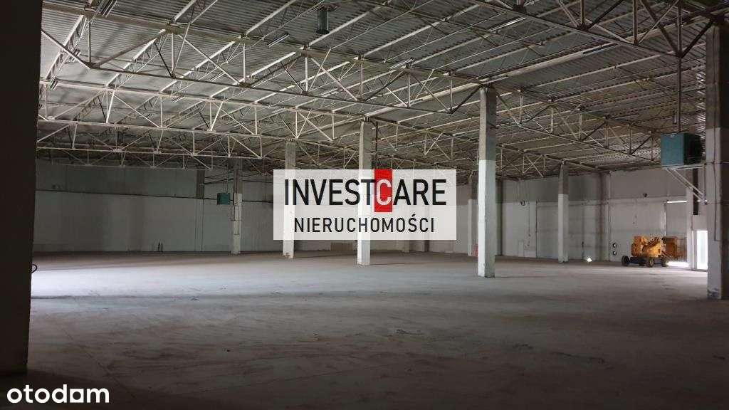 Hala z zapleczem. Doki+Drive-In. Hurtownia. - Pełny obrazek: 4/6