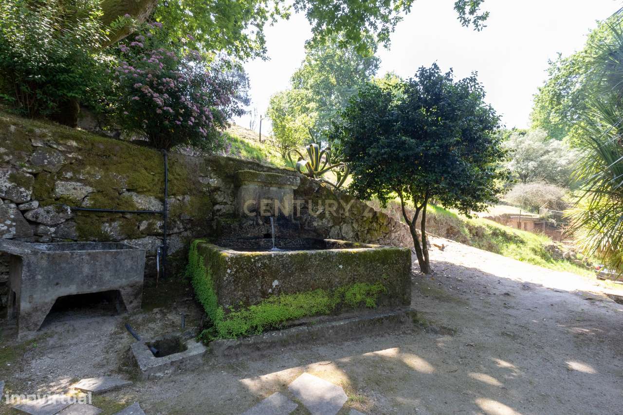 Quinta de Luxo de Vinho e Natureza com Potencial de Expansão perto do-29