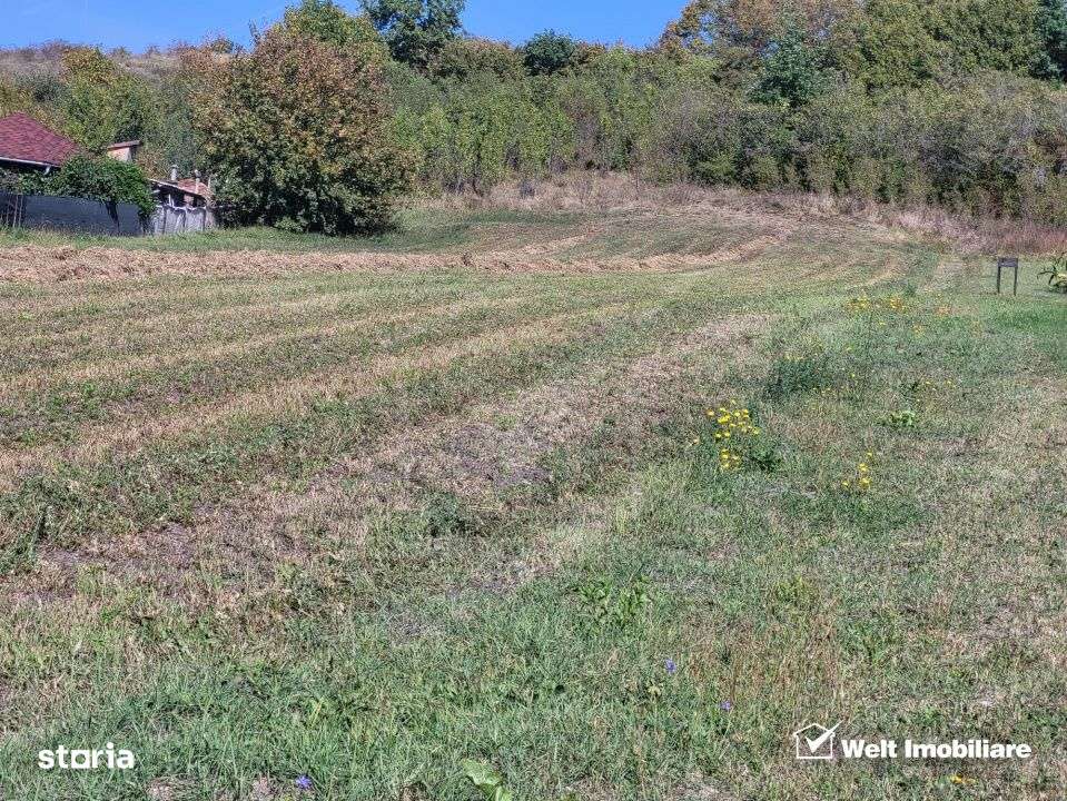 Teren de vanzare – Popesti Vale, 3600 mp - Imagine principală: 3/6