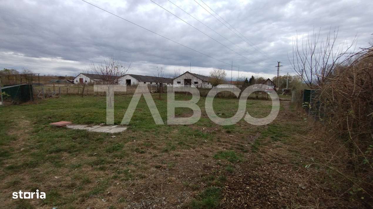 Afacere si locuinta cu teren de 1450 mp de vanzare in Rausor - Imagine principală: 4/19