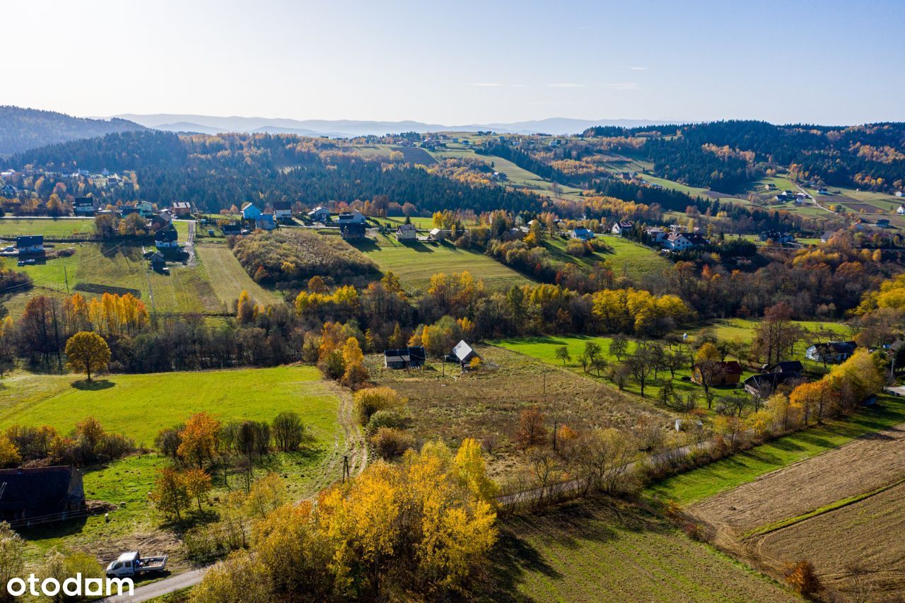 Siedlisko na 1,3ha działce w Koniuszowej