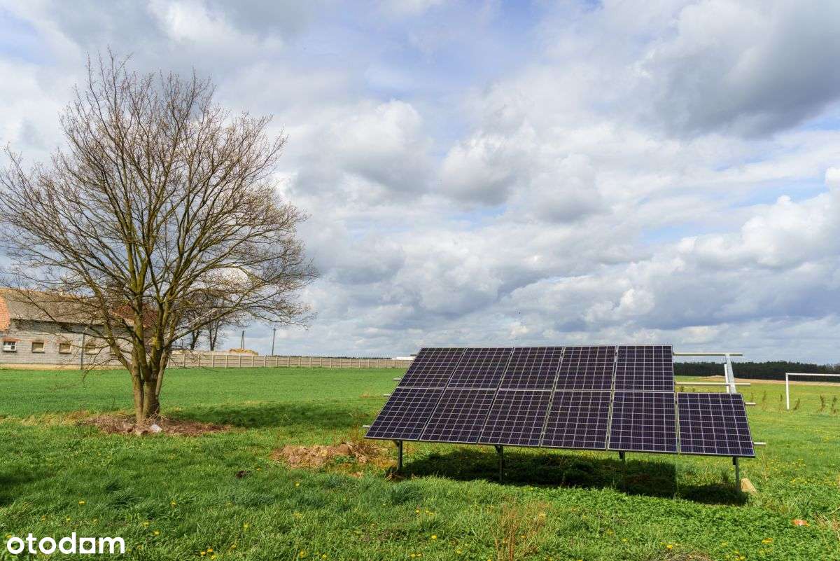 Dom na dużej działce z potencjałem - Racendów-0