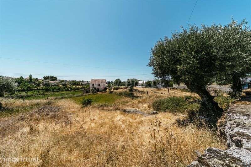 Quinta / Seia, Paranhos - Grande imagem: 5/17