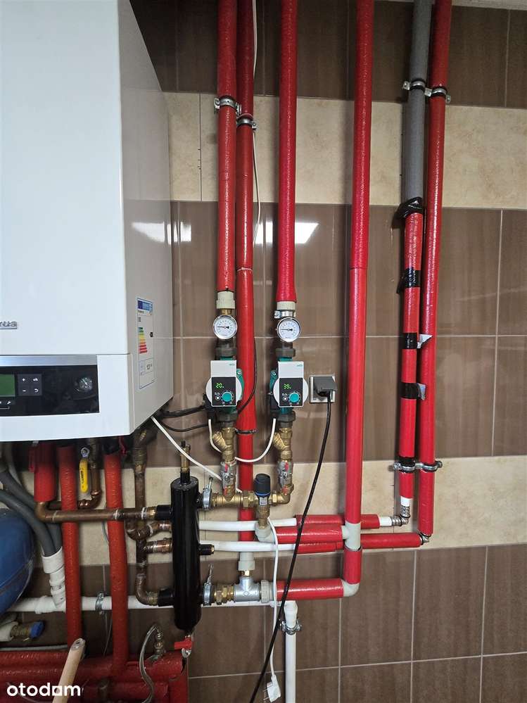 Kompletnie wyposażony, prosperujący zakład cukierniczy-17