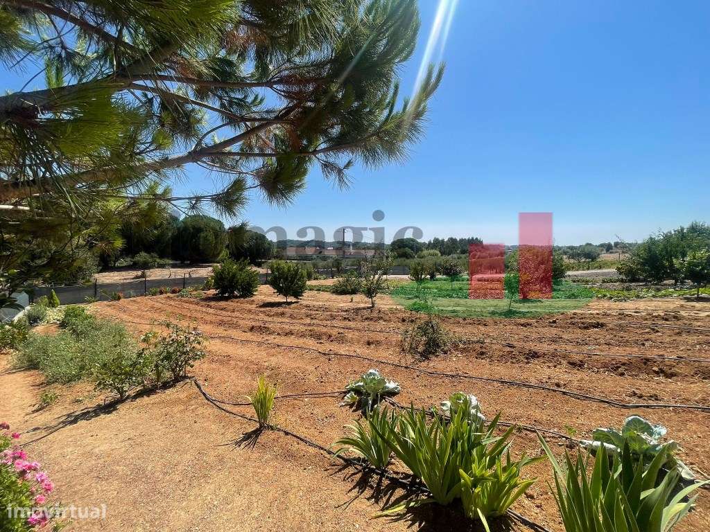 Terreno São João da Ribeira***RIOMAGIC***-34