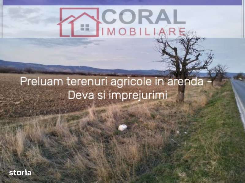 Preluam terenuri agricole in arenda - Deva si imprejurimi-0