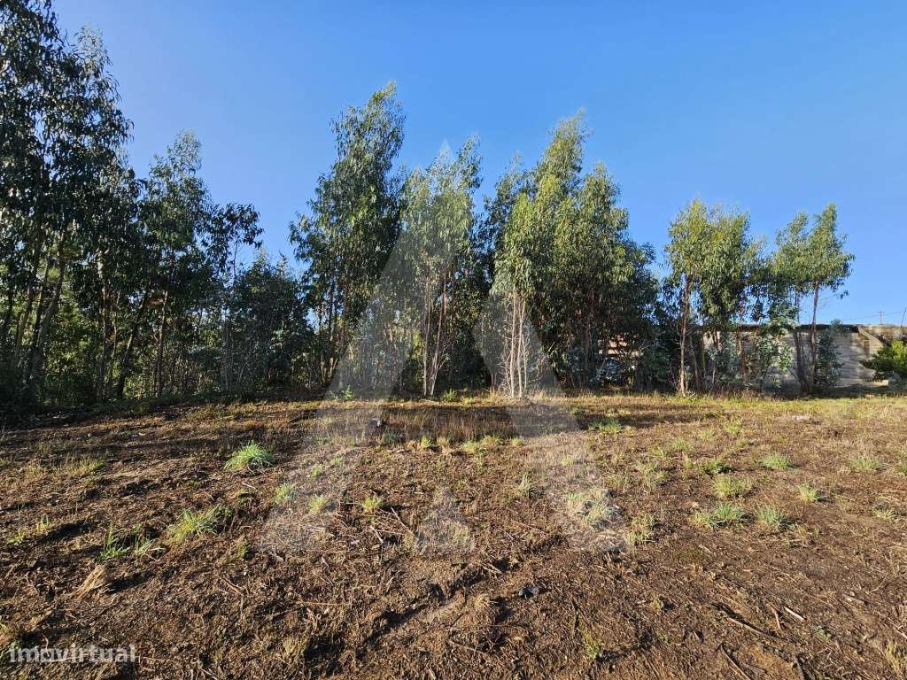 Terreno a cerca de 10 minutos de Aveiro - Grande imagem: 4/14